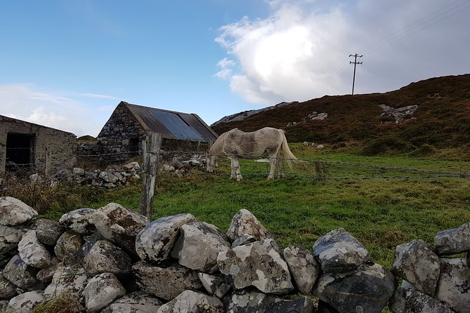 From Galway: Guided tour of Connemara with 3 hour stop in Kylemore Abbey - Connemara National Park or Kylemore Abbey, a 3-hour choice that matters