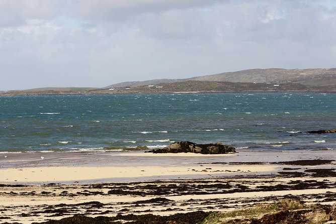 From Galway: Guided tour of Connemara with 3 hour stop in Kylemore Abbey - Comfort, group size, and the small practical issues that can change your day