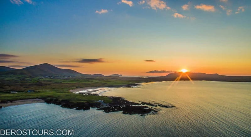 From Killarney: Dingle and Slea Head Peninsula Day Tour - The Dingle Dolphin chance, plus the reality of driving the Wild Atlantic Way