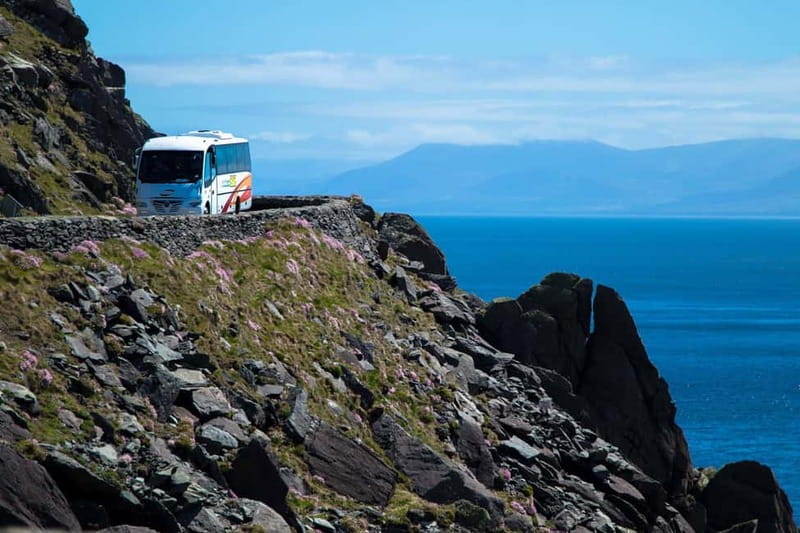 From Killarney: Dingle and Slea Head Peninsula Day Tour - Killarney town stop: a quick orientation before you go wild