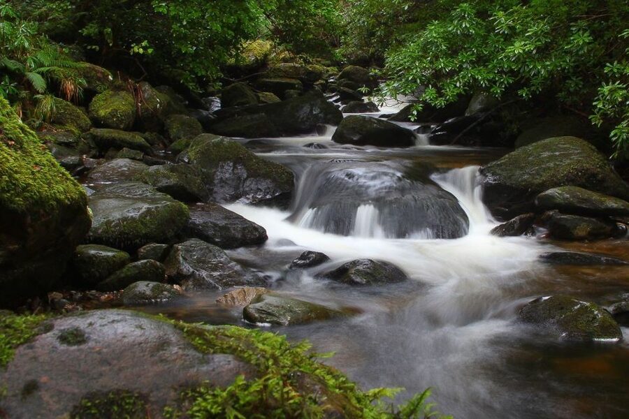 From Killarney: Ring of Kerry Full-Day Tour - Key Highlights You Should Know