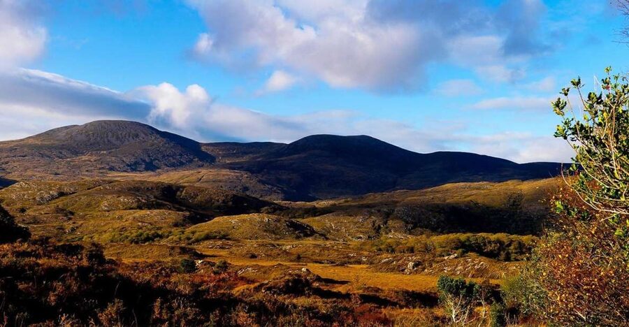 From Killarney: Ring of Kerry Full-Day Tour - Killarney National Park: Molls Gap, Ladies View, and Leprechaun Crossing