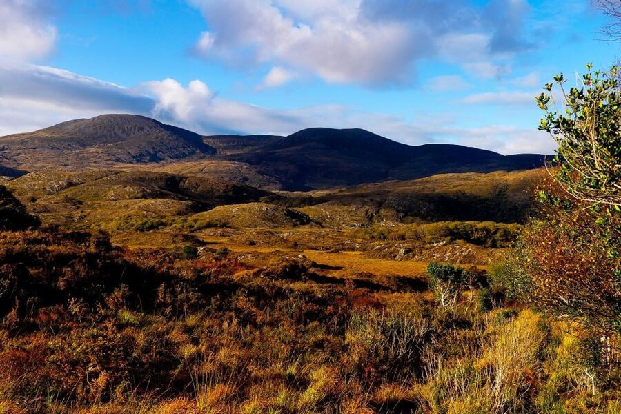 From Killarney: Ring of Kerry Full-Day Tour - Torc Waterfall in Friers Glenn: The Day’s Most Rewarding Walk