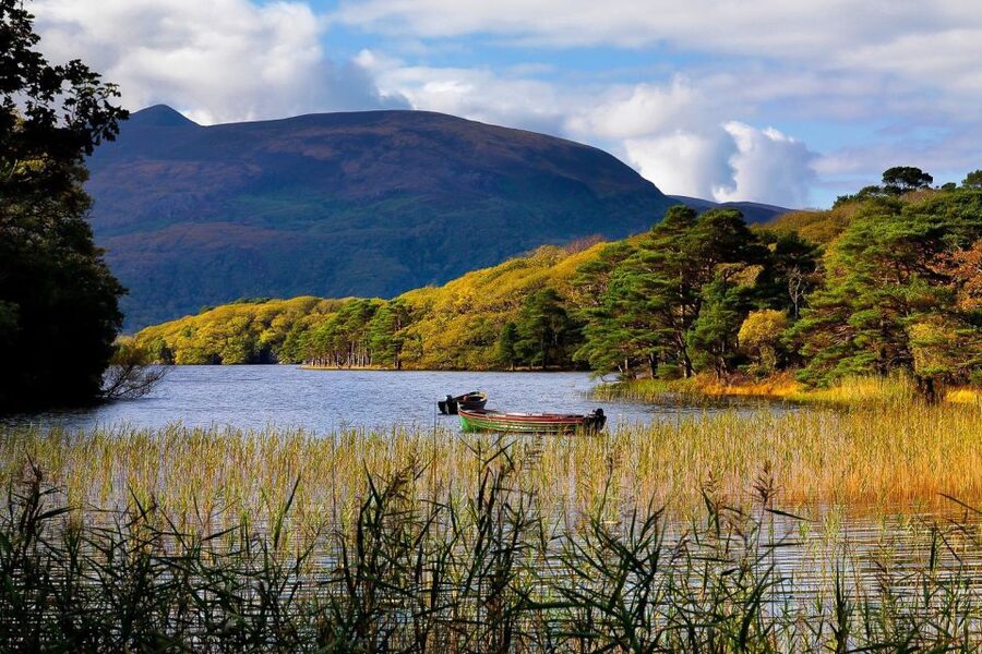 From Killarney: Ring of Kerry Full-Day Tour - Meet at Killarney Tourist Office, Then Settle In