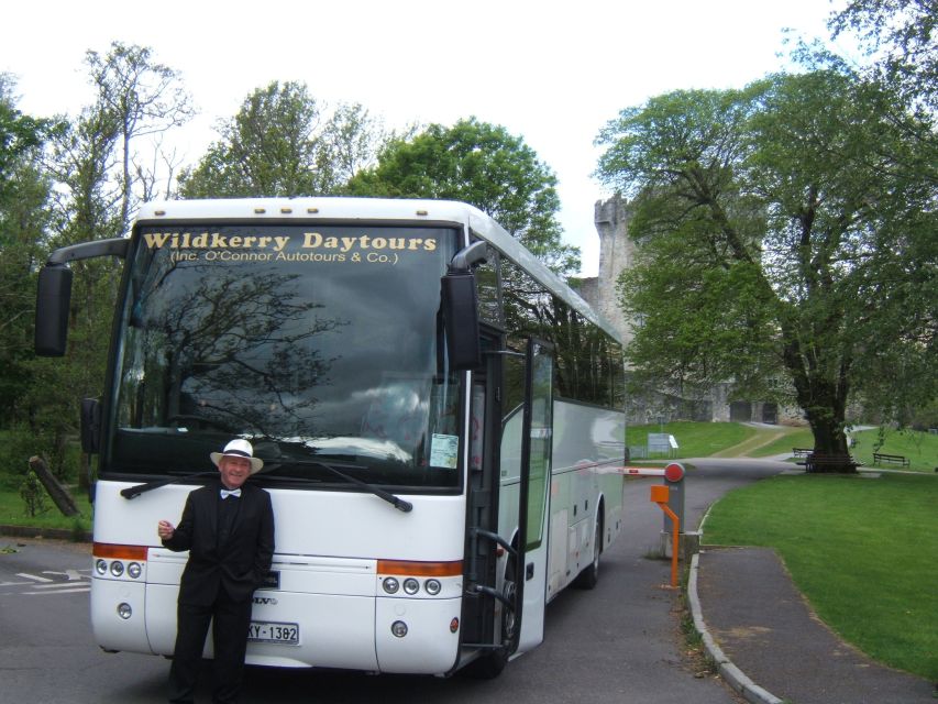 From Killarney: 'Ring of Kerry' Mountain Road 1-Day Bus Tour - The River Laune to Dingle Bay: where the route starts to feel like Ireland