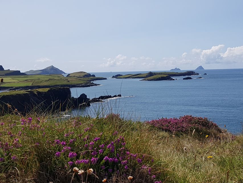 From Killarney: 'Ring of Kerry' Mountain Road 1-Day Bus Tour - Price and value: is $45 fair for a guided Ring of Kerry day?