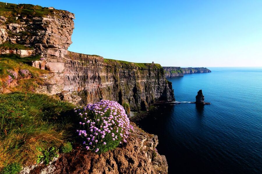 From Limerick: Full-Day Guided Tour of Cliffs of Moher - Bunratty Castle Refreshment Stop: Photo Stop With Real Personality