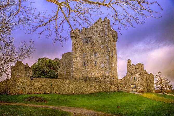 Full-Day Private Historical Tour at Ring of Kerry - Key highlights