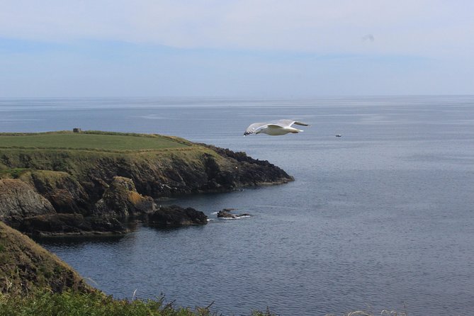 Full day Private Tour from Waterford - A private Southeast day from Waterford, built around your pace