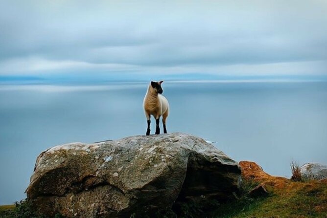 Full Day Private Tour to Ireland - Pickup, timing, and how the day flows