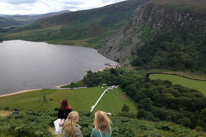 Full Day Private Wicklow Tour - Sally Gap: viewpoints, movies, and quick photo stops