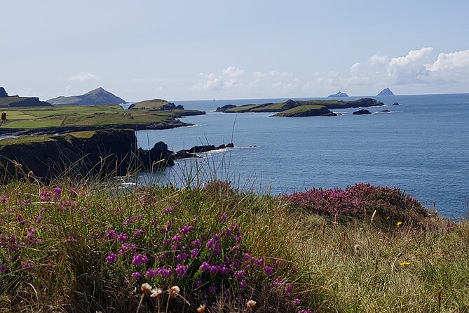 Full-Day Ring of Kerry Tour from Killarney - Why this Ring of Kerry bus tour makes sense from Killarney