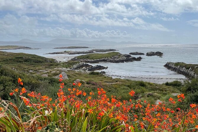 Full-Day Ring of Kerry Tour from Killarney - Sneem and the coastal feel: where the Ring slows down and changes mood