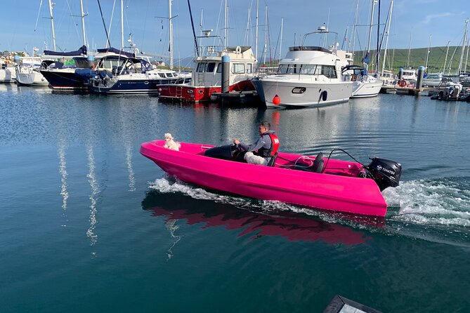 Funky Pink Self Drive Boats - Should You Book? The Best Fit for Funky Pink Self Drive Boats