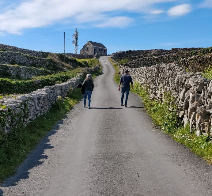 Galway: Cliffs Cruise, Aran Islands & Connemara Day Tour - The Burren and Wild Atlantic Way return, scenic driving that ties it together