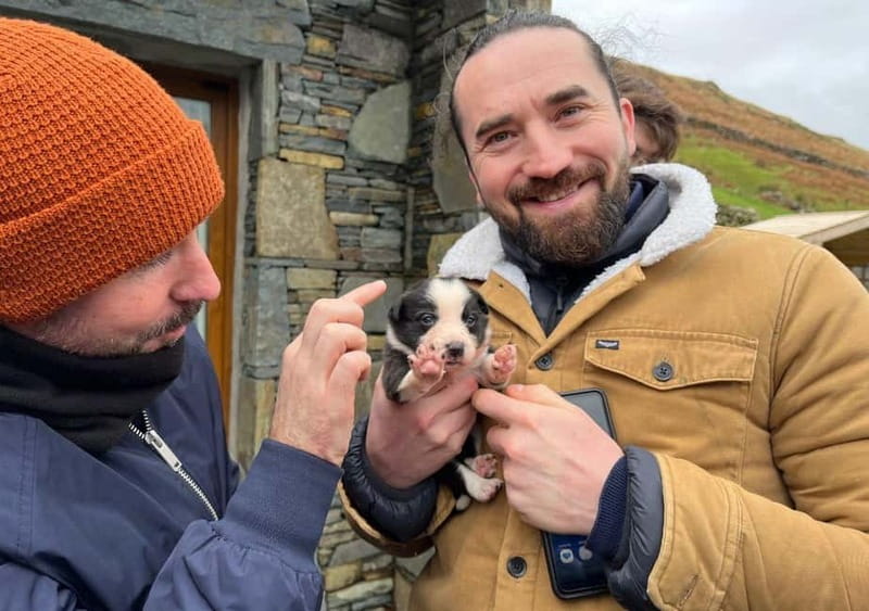Galway: Connemara, Sheepdog Show and Medieval Castle Tour - Key highlights worth booking for