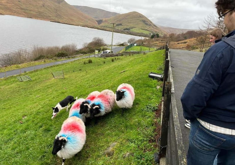 Galway: Connemara, Sheepdog Show and Medieval Castle Tour - Leenane village: mountain views and a flexible food break