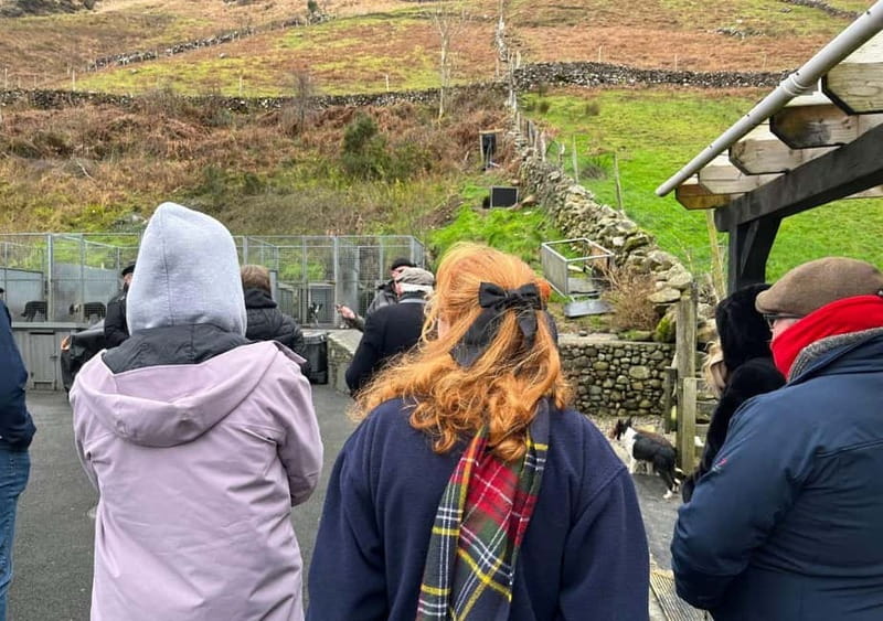 Galway: Connemara, Sheepdog Show and Medieval Castle Tour - Cong Village and Cong Abbey on the Galway-Mayo border