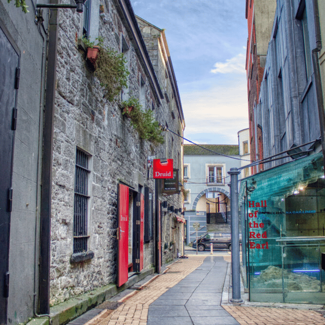 Galway: Medieval Galway Tour - Hall of the Red Earl: archaeology you can walk closer to