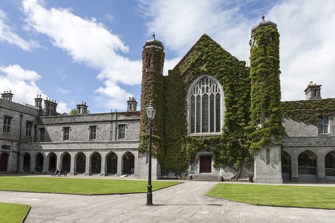 Galway’s Historical Gems: A Walk Through Time - Lynch’s Castle and the story behind the wild monument