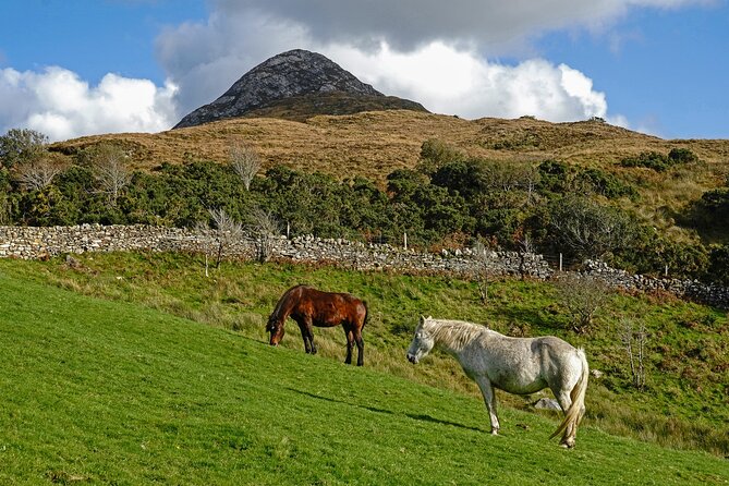 Galway to Connemara National Park Day Tour - Guides On The Road, Irish Stories, And Why Names Matter