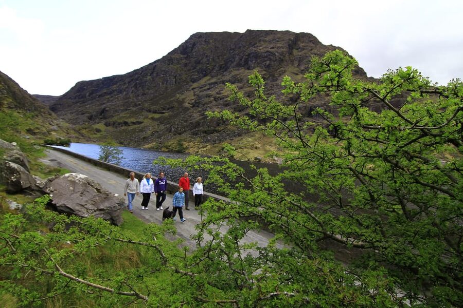 Gap of Dunloe & Lakes of Killlarney Boat Tour - From Deros Tours to Kate Kearney’s Cottage: your morning rhythm