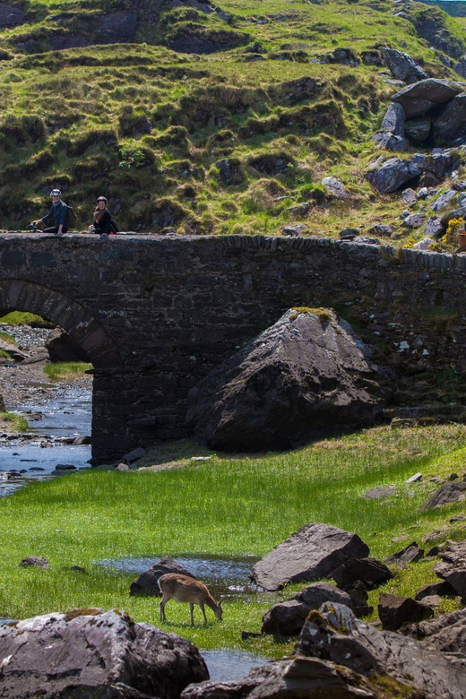 Gap of Dunloe & Lakes of Killlarney Boat Tour - Ross Castle stop and your next move back in Killarney