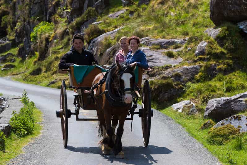 Gap of Dunloe & Lakes of Killlarney Boat Tour - Price and what you’re really getting for about $62
