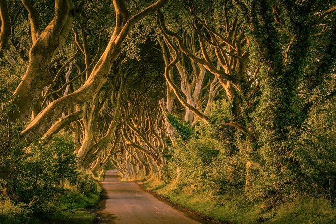 Giant Causeway, Dark Hedges & Whiskey Distillery tour from Dublin - Dunluce Castle on the Northern Atlantic: Cliffs, Characters, and Pyke Vibes