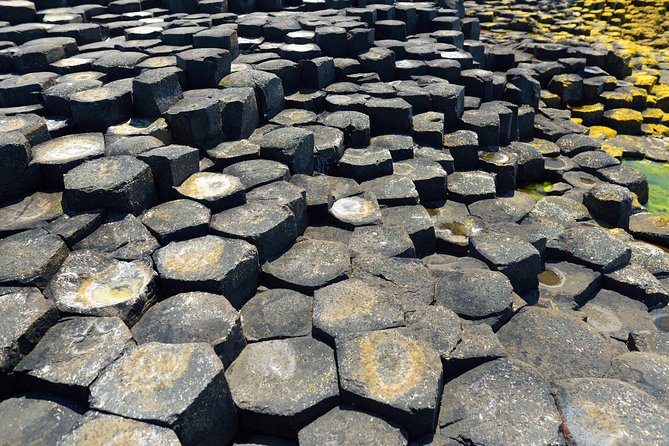 Giant's Causeway Custom Tailored Award Winning Private Tour. - Giant’s Causeway: free entry plus 1 hour 30 minutes to take it in