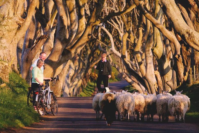 Giant's Causeway Day Tour from Dublin - Glens of Antrim Scenic Drive: When You Can Only See It From the Road