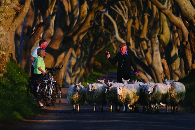 Giant's Causeway with the Titanic Exhibition and the best of Northern Ireland - The guides and drivers who keep a 13-hour day from feeling endless