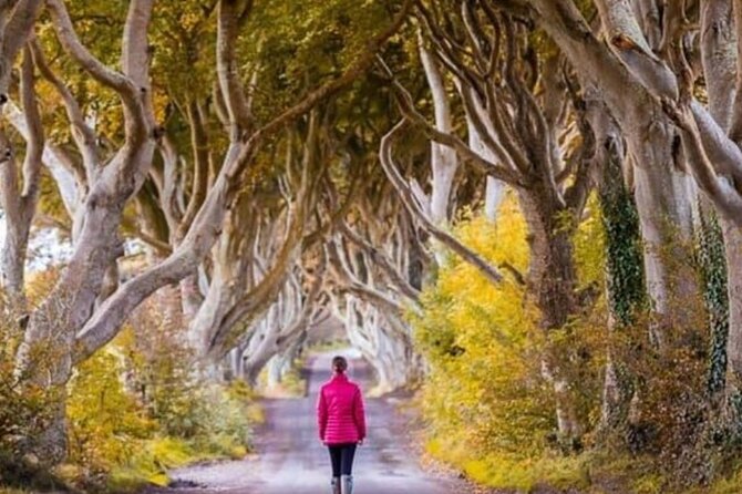 Giants Causeway and Belfast 2 Days with Private Chauffeur Tour - The Dark Hedges: a beech tunnel that became Kingsroad