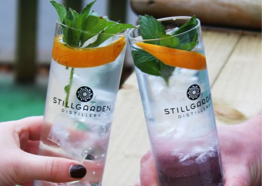 Gin School, distill you own gin, cocktails, tastings, food - Welcome drink and the fast path into gin basics