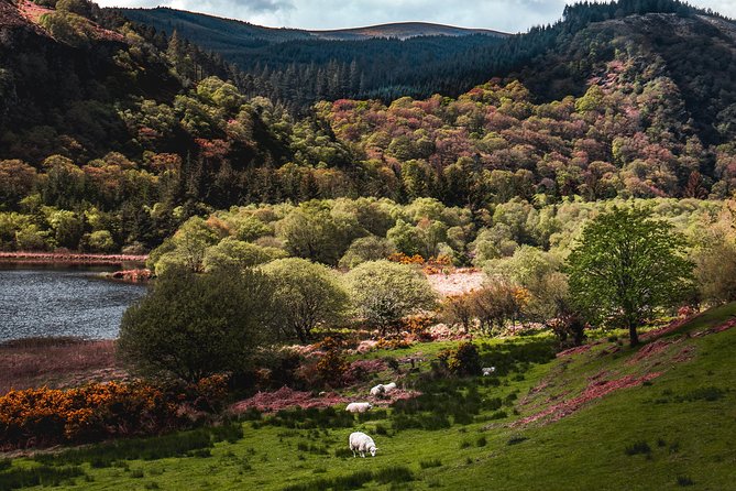 Glendalough Day Tour from Dublin: Including Kilkenny City - Who this tour fits best
