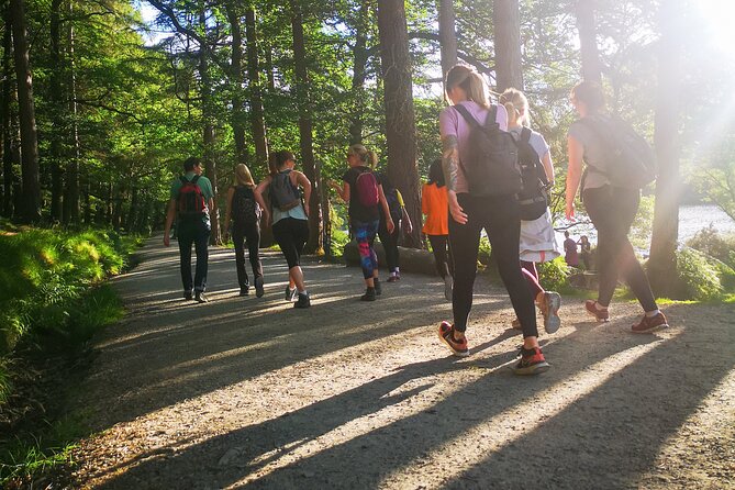 Glendalough Night Hike and History Tour - Crossing into darkness: head lamps and what to expect on the night route