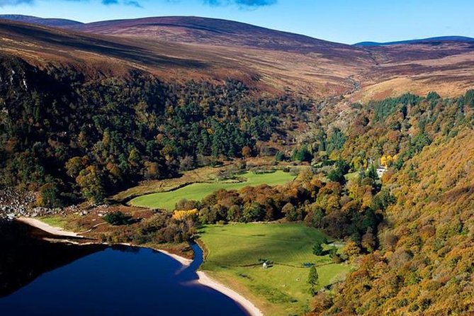 Glendalough & Wicklow Mountains Half Day Morning Tour from Dublin - Your guide, the bus setup, and how independent the time feels