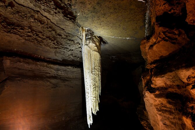 Guided Doolin Cave Tour: Experience Europe's Largest Stalactite - What the Guide Teaches: How Water Builds Caves (Without the Jargon)