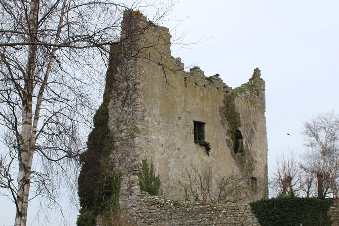 Guided eBike Tour - Killaloe and the Lough Derg Shore - Meeting Point: Killaloe Harbour Is the Easy Start