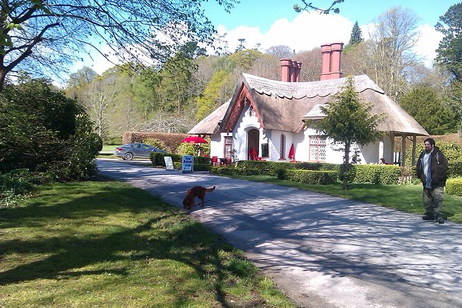 Guided Killarney National Park Walking Tour - Stepping off at 11am, right by St. Mary’s Cathedral