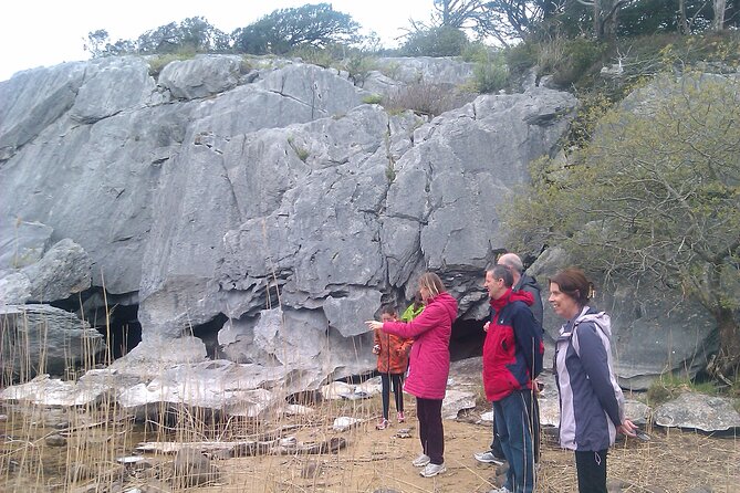 Guided Killarney National Park Walking Tour - How a two-hour walk in Killarney National Park actually feels