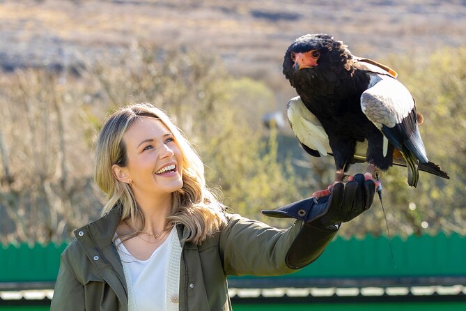Guided Tour of Aillwee Cave and Visit to the Birds of Prey Centre - Key highlights worth knowing