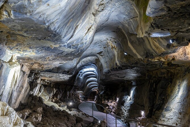 Guided Tour of Aillwee Cave and Visit to the Birds of Prey Centre - Birds of Prey Centre flying displays: how to time your visit for maximum payoff