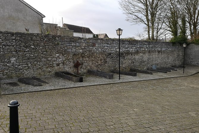 Guided tour of Kilkenny in French with an Irish guide - Kilkenny Castle and the Butler family, finishing with a big-time presence