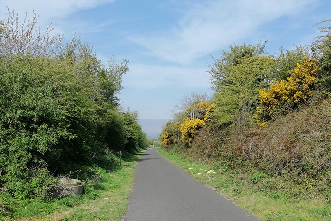 Guided Walking Tour in stunning county Waterford Ireland - Getting Set Up: Where You Start and How the Route Feels