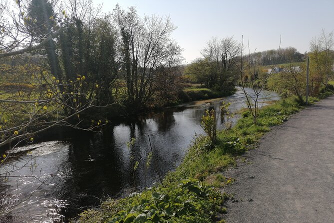 Guided Walking Tour in stunning county Waterford Ireland - Stop 3: The New Bridge and a 4000 BC Archaeology Story