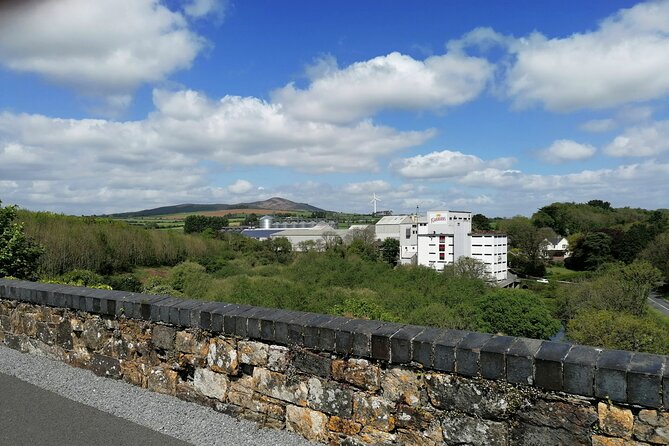 Guided Walking Tour in stunning county Waterford Ireland - Stop 4: Mindfulness Break 1, Flora and Fauna on the Greenway