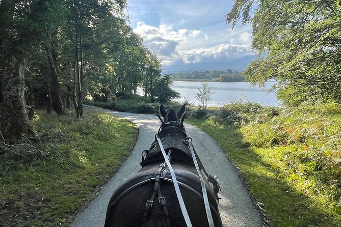 Horse-Drawn Carriage Tours in Killarney - Key highlights you will actually care about