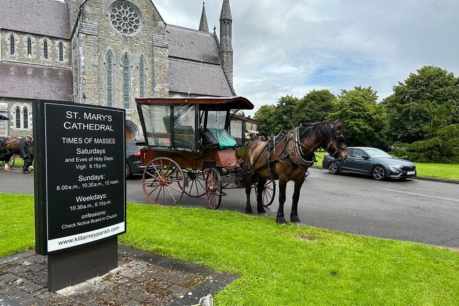 Horse-Drawn Carriage Tours in Killarney - Horse-drawn carriage in Killarney, what you get in about an hour