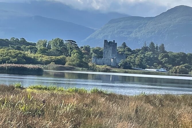 Horse-Drawn Carriage Tours in Killarney - Deer parks of the native red deer: the calm wildlife moment